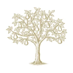 The Popcorn Factory logo