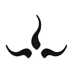 prAna logo