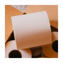 PlantPaper logo