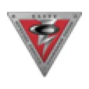 Oakley Standard Issue logo